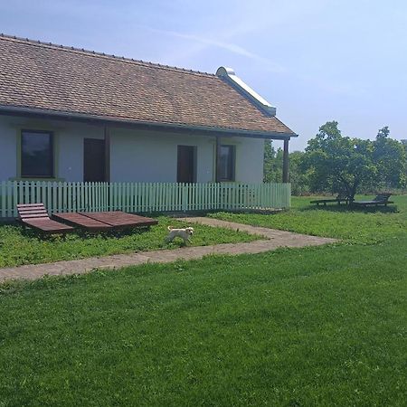 Villa Diiva Curug Værelse billede