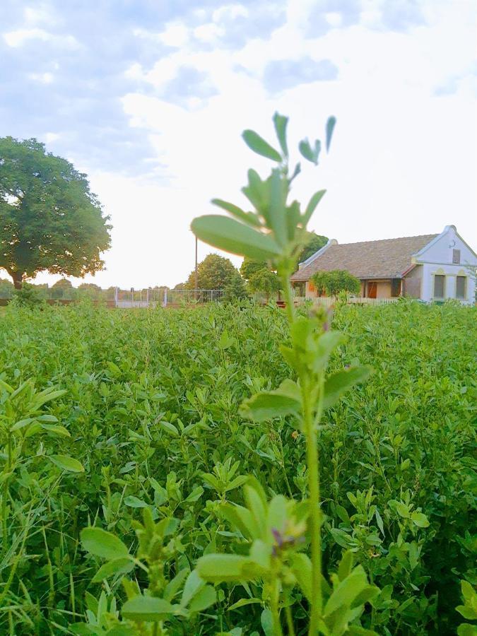 Villa Diiva Curug Eksteriør billede