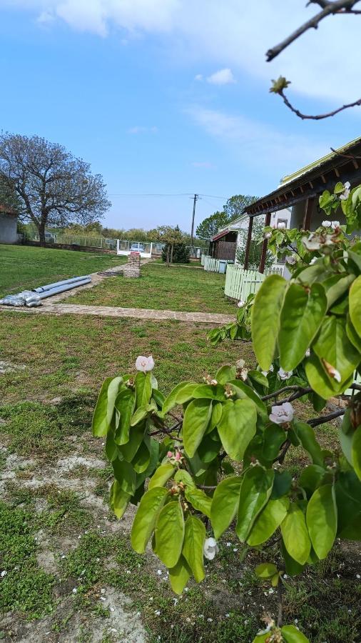 Villa Diiva Curug Eksteriør billede